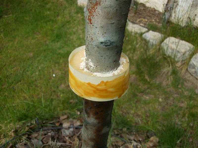 opt1302364894z.JPG