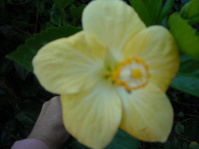 opt1302811029c.jpg
