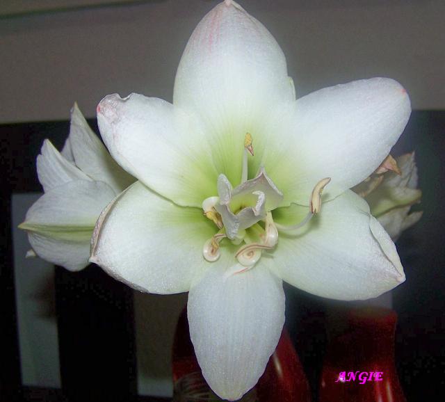 opt1303240401t.jpg