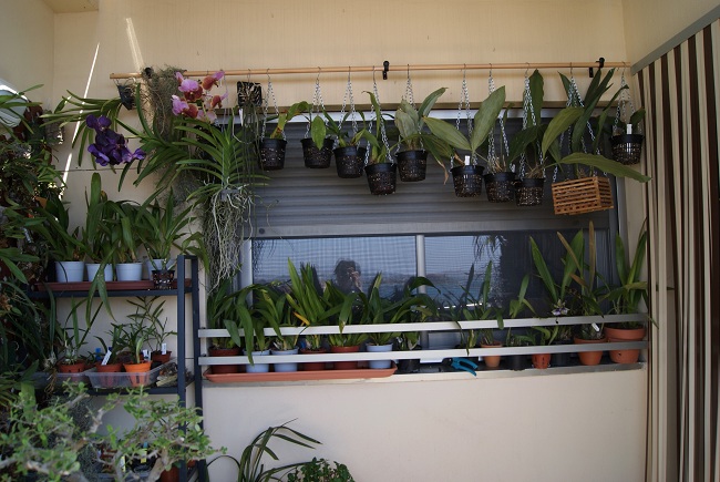 opt1305047370r.JPG