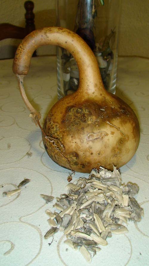 opt1306242078n.JPG