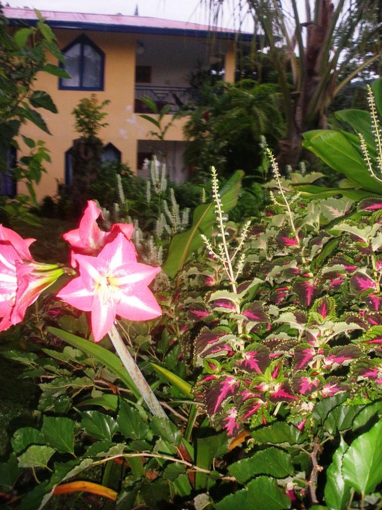 opt1306834973r.JPG