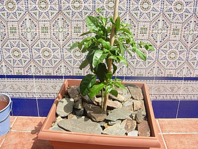 opt1307283101t.JPG