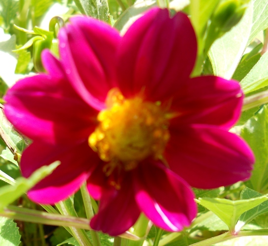 opt1311972662r.jpg