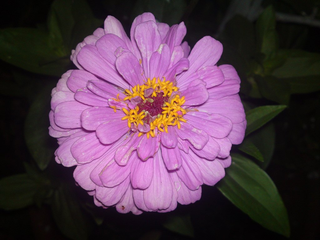 opt1312247130g.JPG