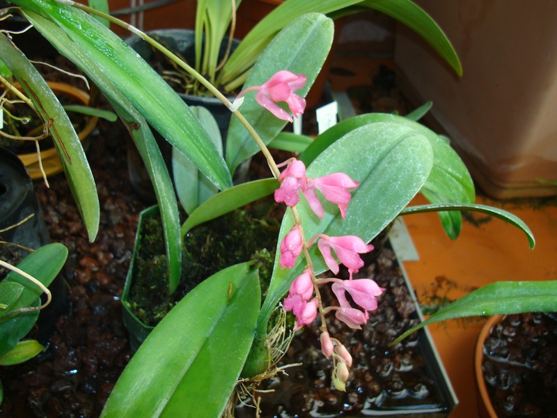 opt1312294518f.JPG