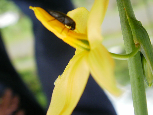 opt1312302032a.JPG