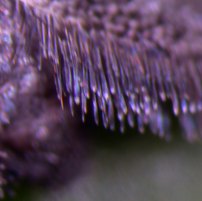opt1312489614h.JPG