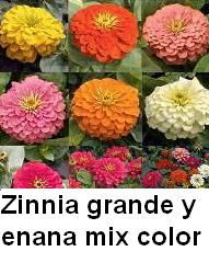 opt1312610348i.jpg