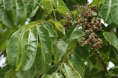 opt1312709574s.jpg