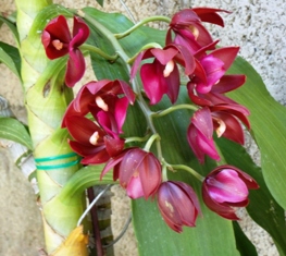 opt1313027988y.JPG