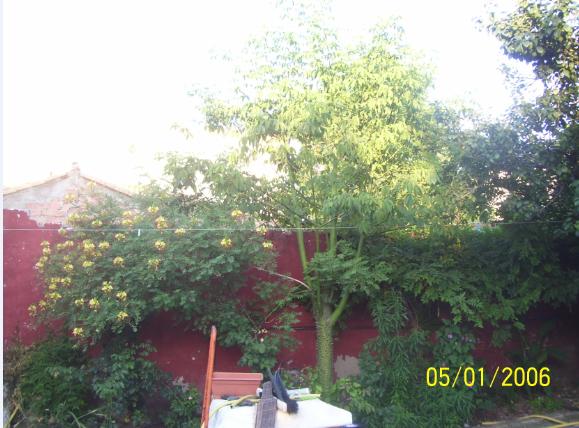 opt1313069736a.jpg