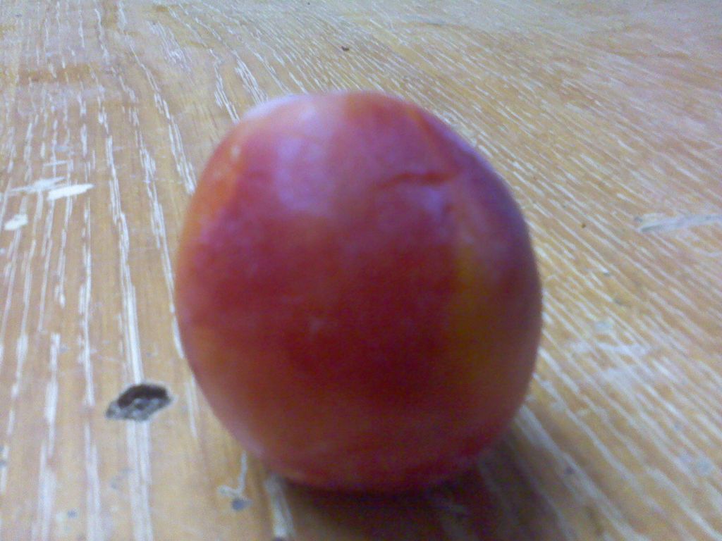 opt1313147737p.jpg