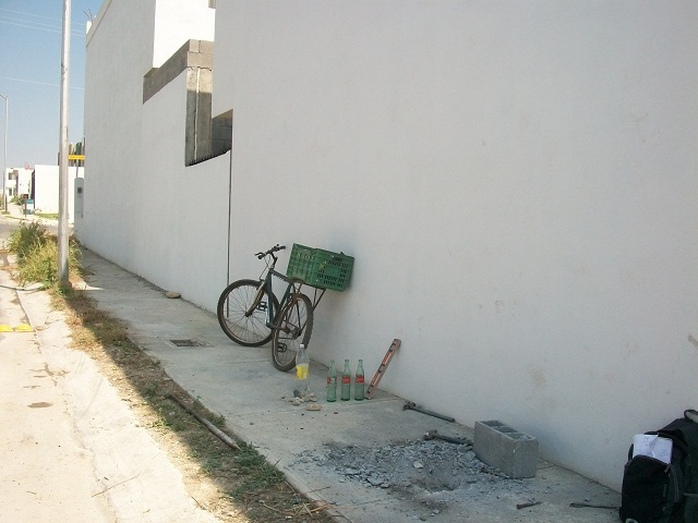 opt1313181744l.JPG