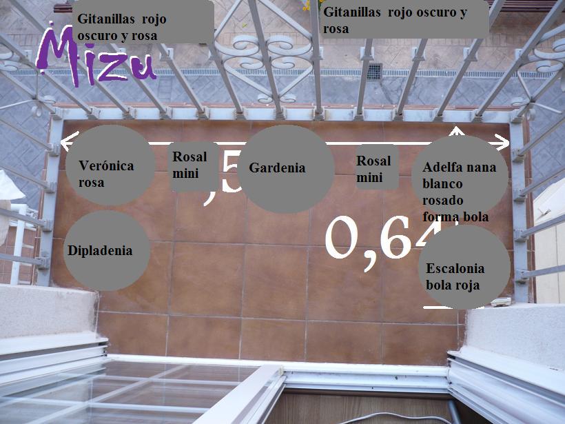opt1313399606n.jpg
