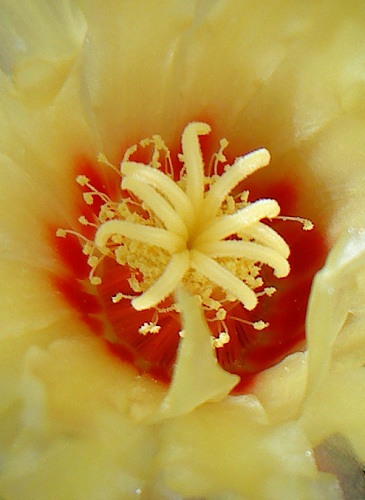 opt1313522316e.JPG