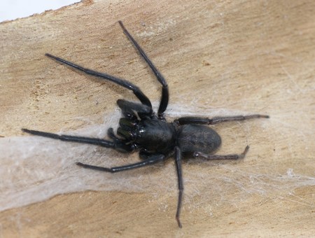 opt1313755074i.jpg