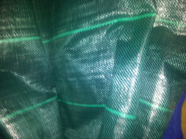opt1313758829y.jpg