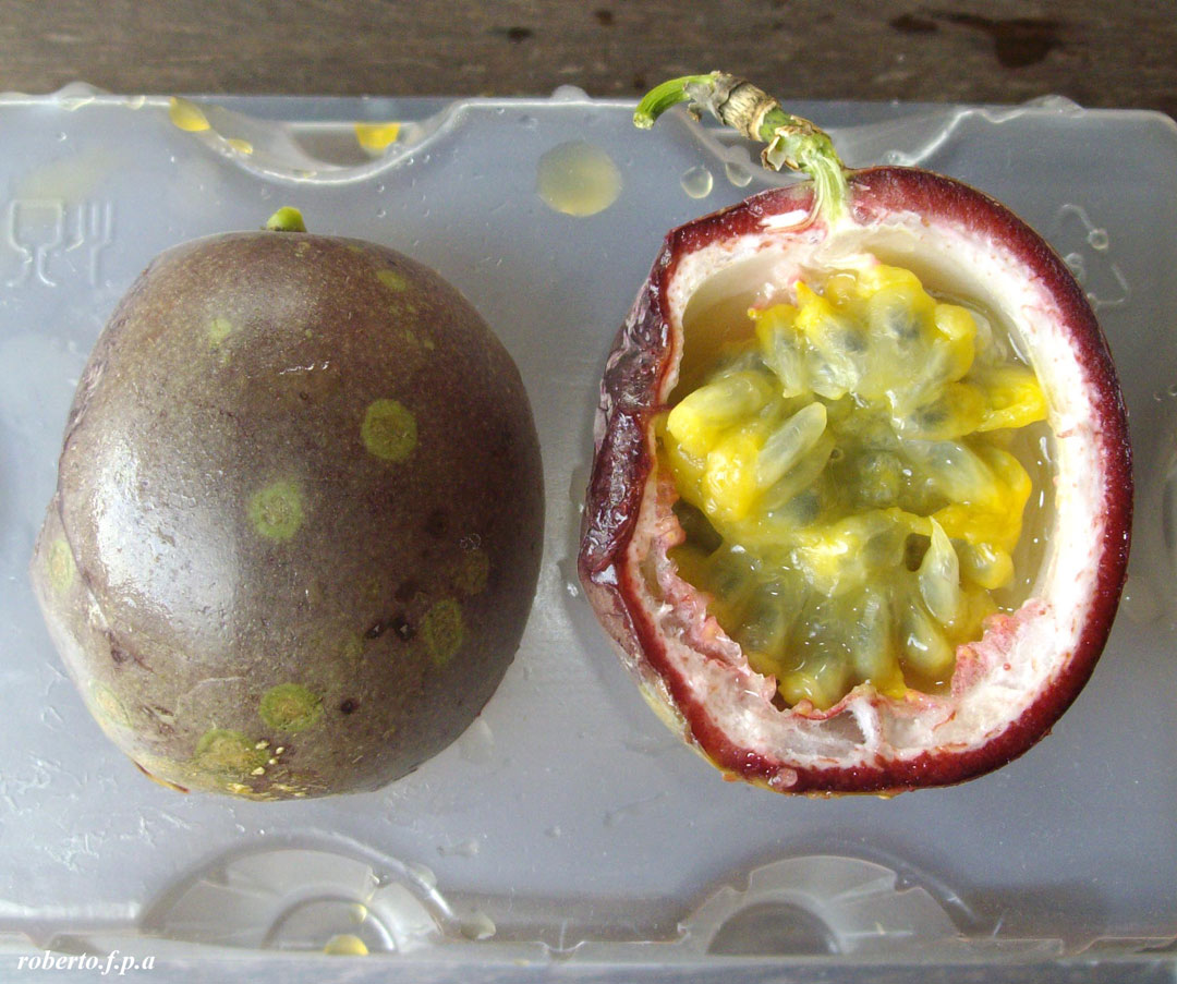 opt1313787924e.jpg