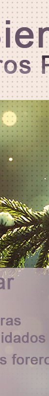 opt1335622077c.jpg