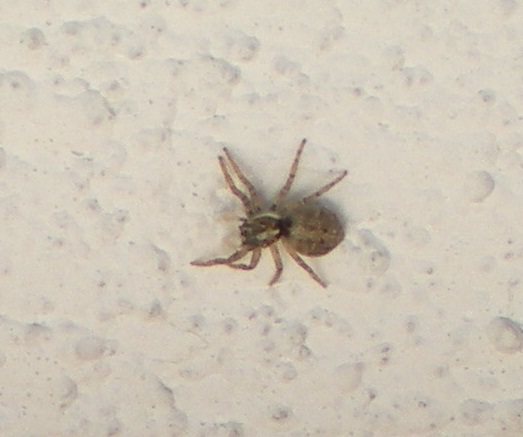 opt1337079012p.jpg