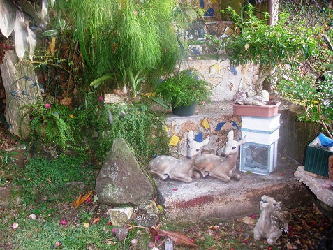 opt1358427073m.JPG