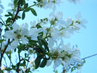 opt1360875327s.jpg