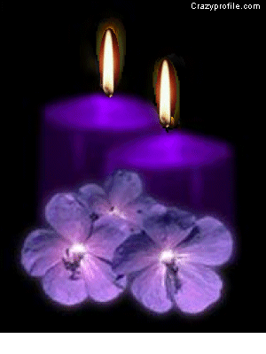 opt1365547666f.gif