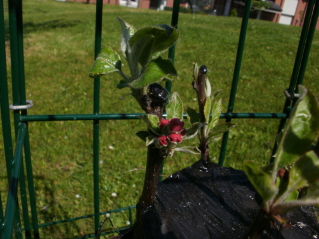 opt1366222822k.jpg