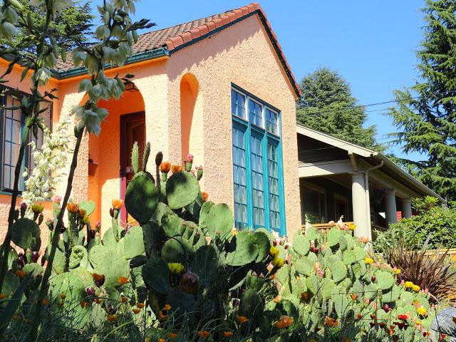 Opuntia+129.JPG