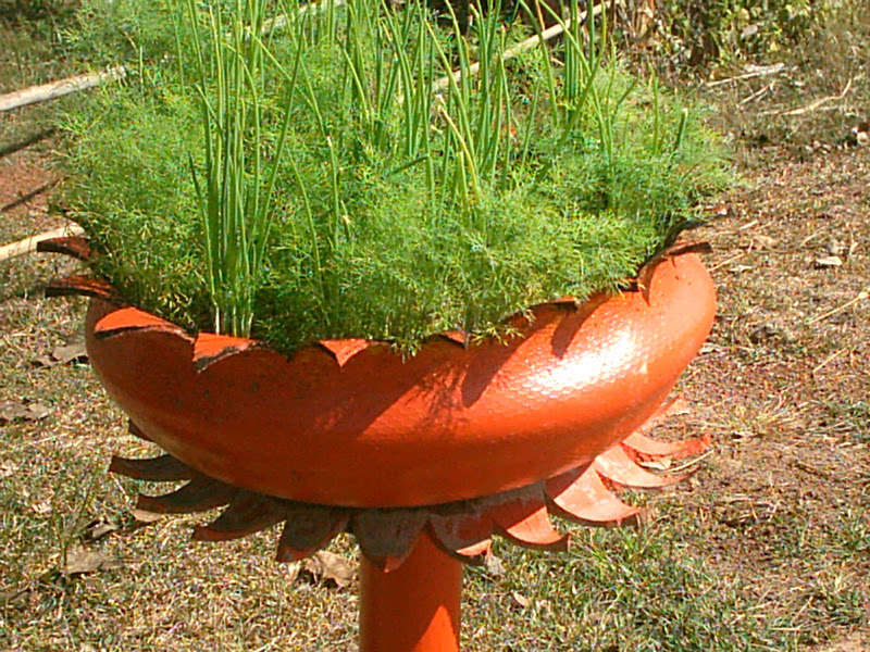Orange%252520flower%252520container2.JPG