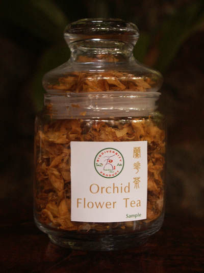 orchid_flowers.jpg