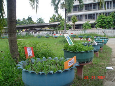original_50072403.jpg