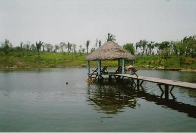 Orinete_de_Bolivia.JPG
