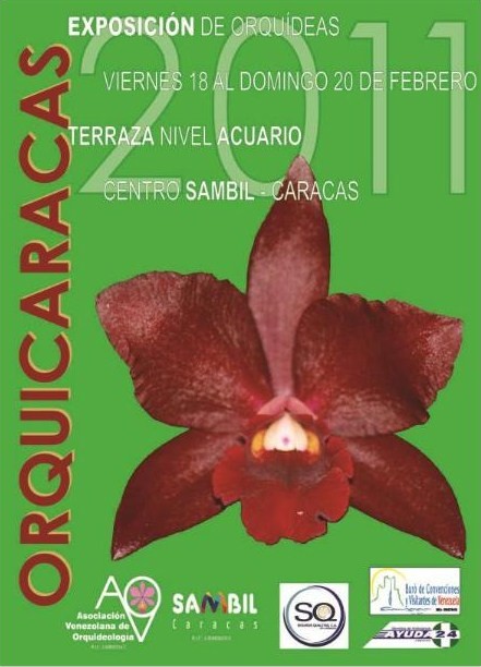 Orquicaracas%2B2011.jpg