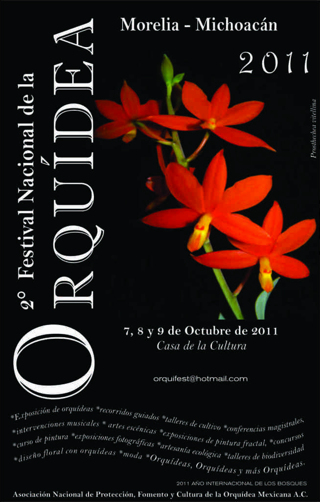 Orquidea2011mlm.jpg