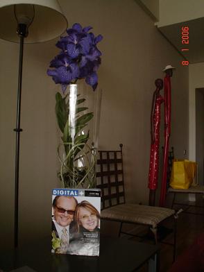 Orquideas%20080.JPG