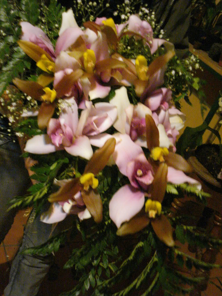 orquiditas012-1.jpg