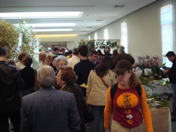 orquis_2.jpg
