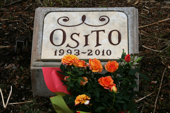 Osito-2ans.jpg