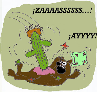 Oso+pardo+despertado+por+cactus+2+001.jpg