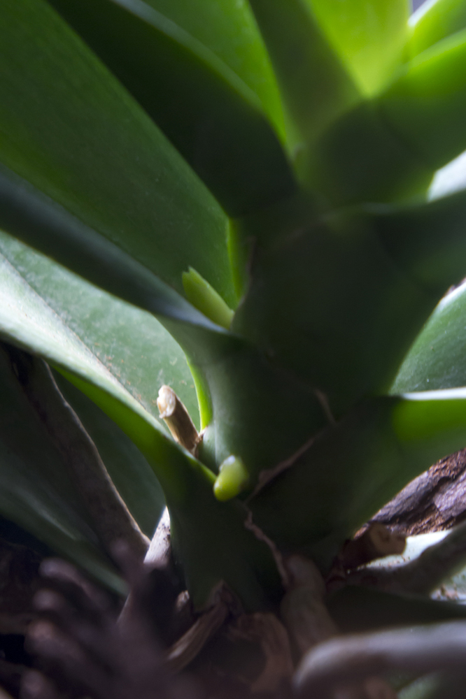 Oto_o2012-3.jpg