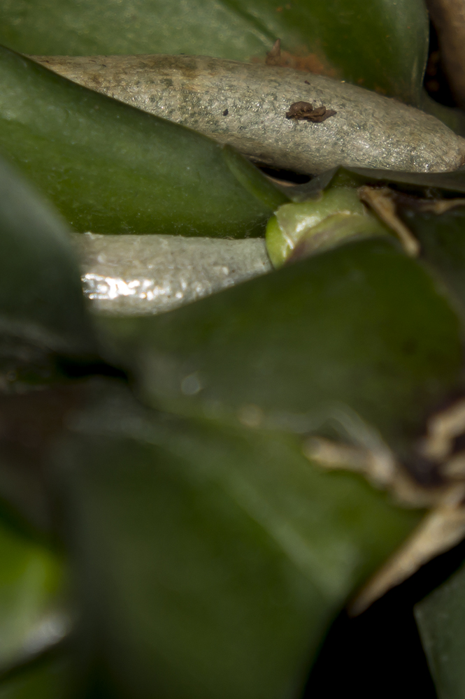 Oto_o2012-7.jpg