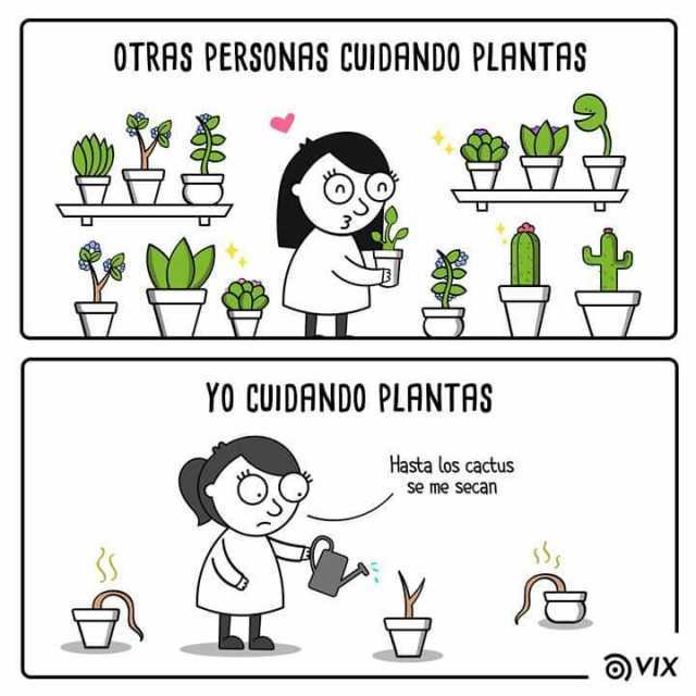 otras-personas-cuidando-plantas-7-3-yo-cuidando-plantas-hasta-los-cactus-se-me-secan-ro-wx-pgSom.jpg
