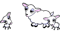 oveja-imagen-animada-0090.gif