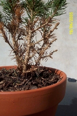 P%20003.jpg