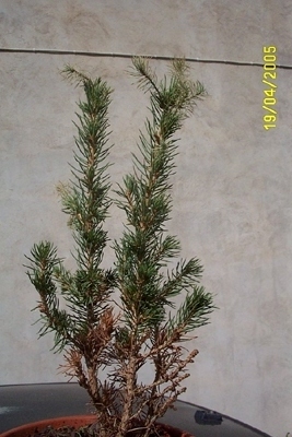 P%20005.jpg