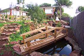 P%205.jpg