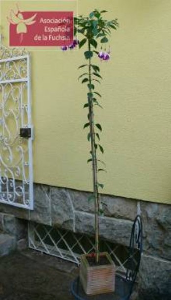 p005_0_00_4.jpg