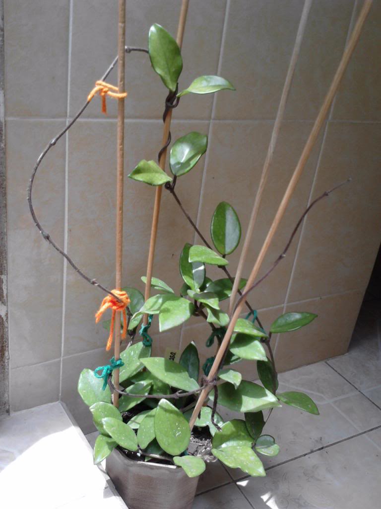 P030913_1348_01_zps52c5eba9.jpg